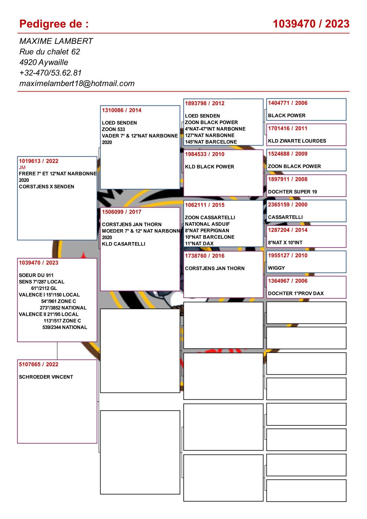 pedigree Kind uit broer 7° & 12° Nat Narbonne