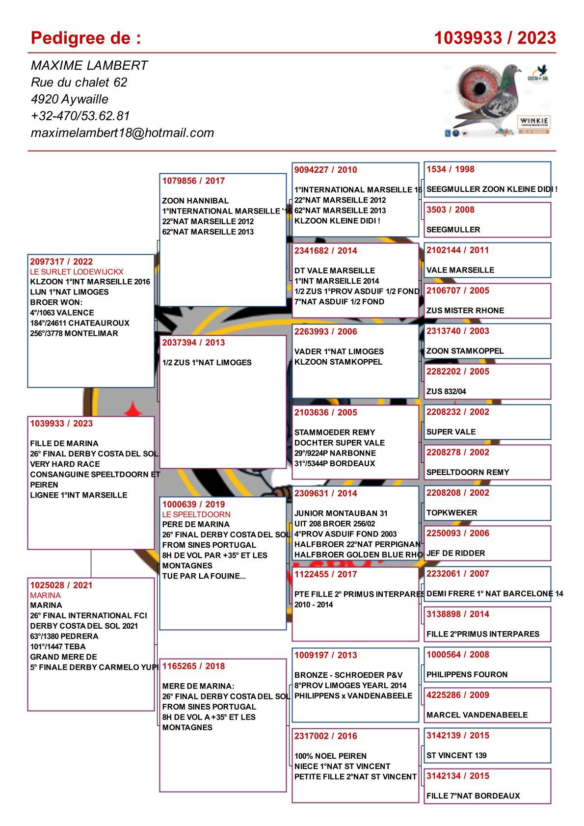 pedigree Dochter "Marina" : 26e Final Derby Costa Del Sol