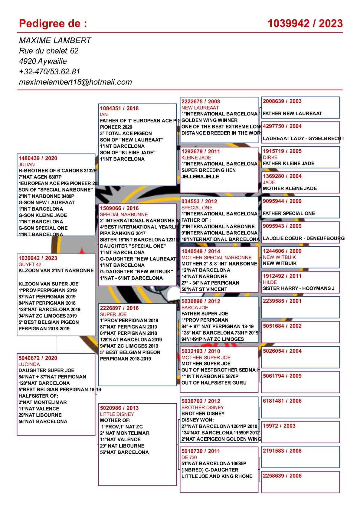 pedigree "Guyft 42", Kleinzoon 2e Internationaal Narbonne