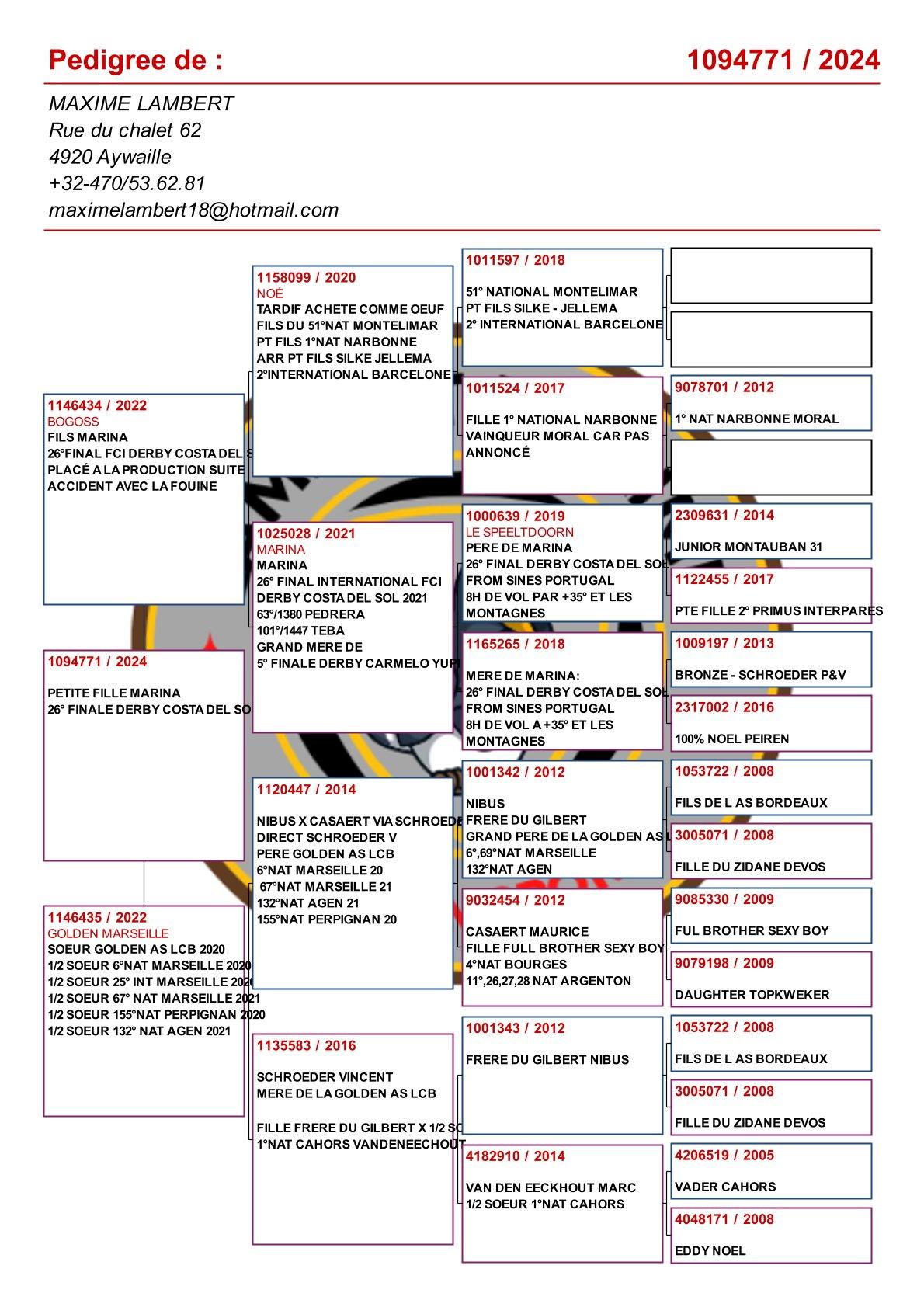 pedigree Kleindochter "Marina" : 26e Final Derby Costa Del Sol