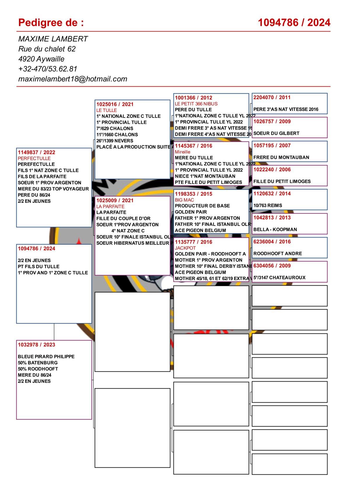 pedigree Kleinkind "Le Tulle" : 1e Nat.Z.C Tulle & 1e Prov. Tulle