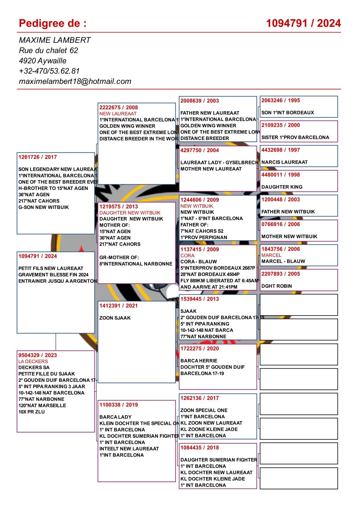 pedigree Kleinkind "New Laureaat" : 1e Internationaal Barcelona 25382d.