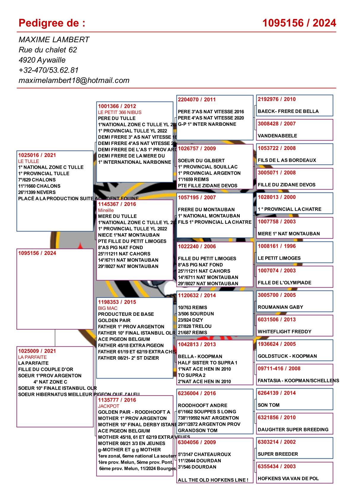 pedigree Dochter "Le Tulle" :  1° Nat Z C Tulle & 1° Prov Tulle