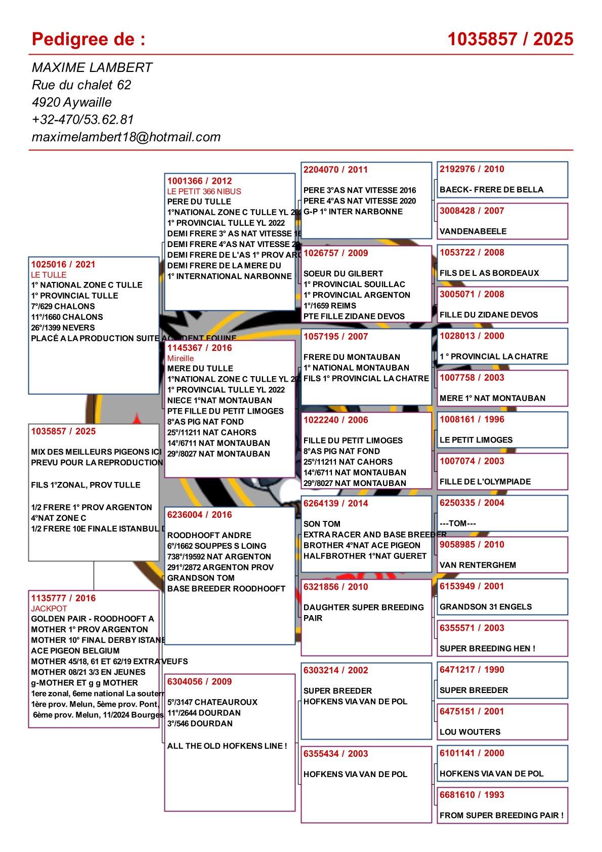 pedigree Kind "Le Tulle" :  1° Nat Z C Tulle & 1° Prov Tulle x "Jackpot"