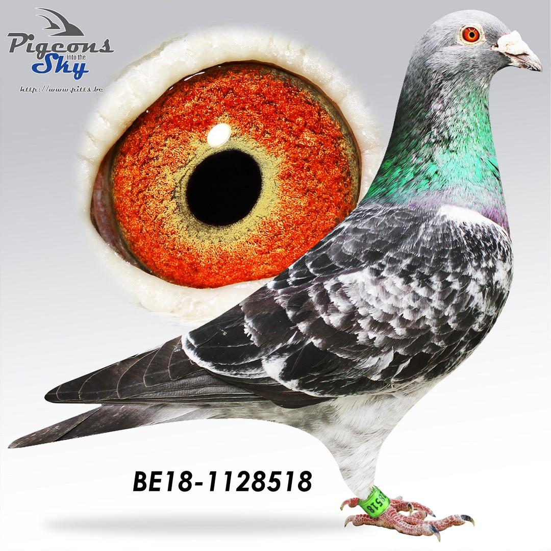 Mouhï Bourges : 1e Nat.Z.C Bourges & 16e Nat.Bourges 23195d. !!