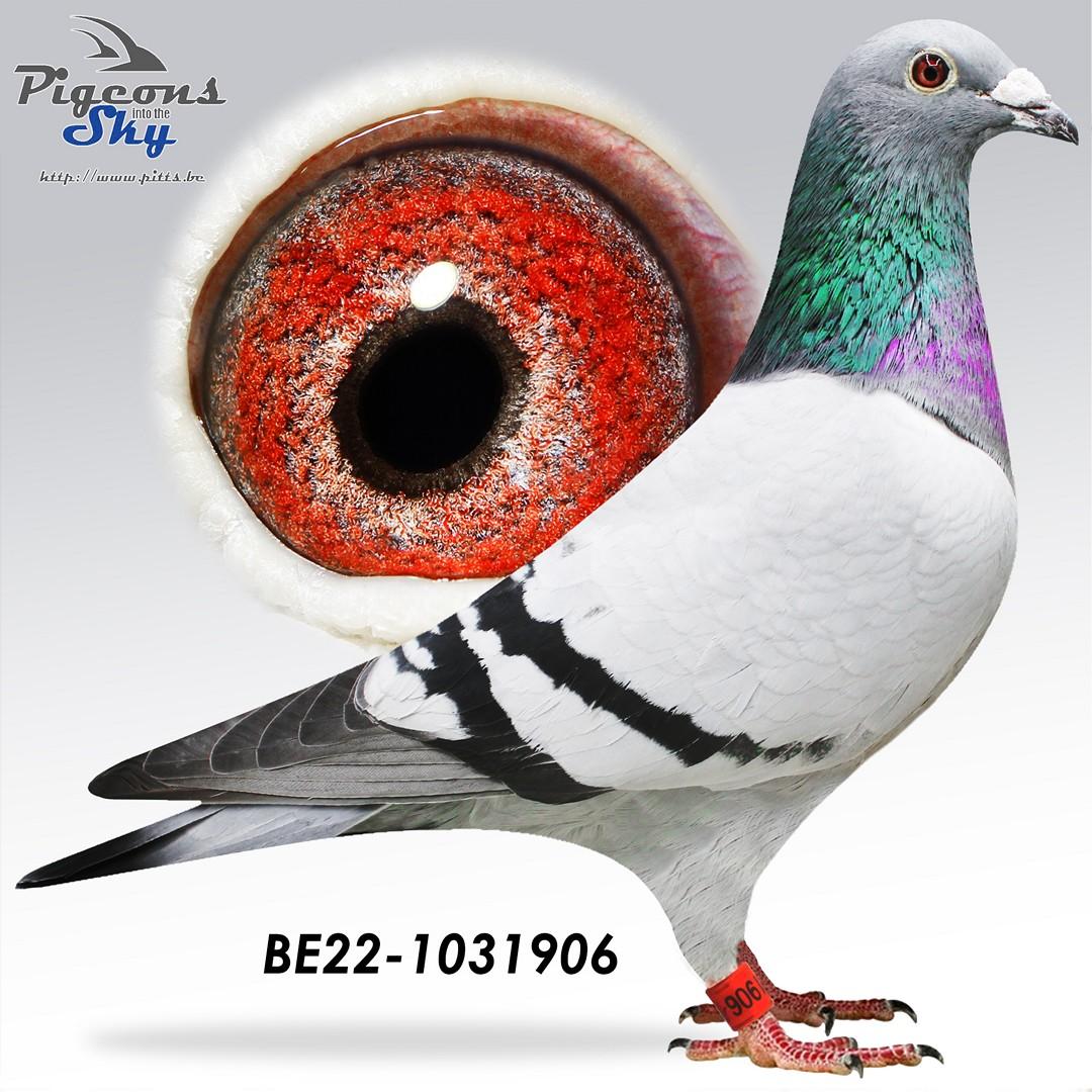 Zus "Le Tulle" : 1° Nat Z C Tulle & 1e Prov. Tulle