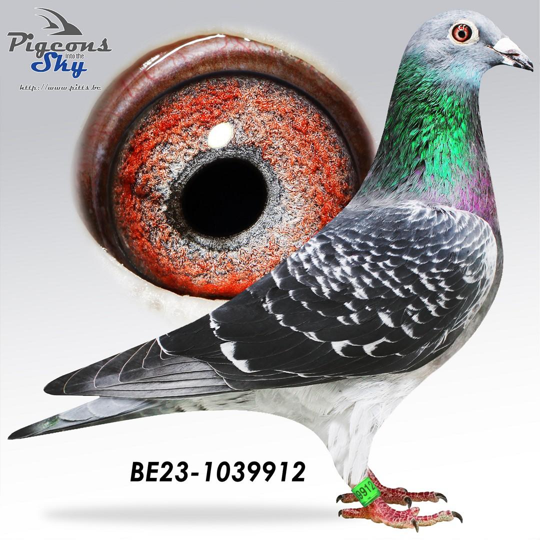 Lijn 7° & 12° Nat Narbonne