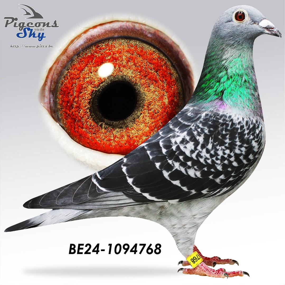 Lijn 7° & 12° Nat Narbonne & zus van 2e club Valence '25