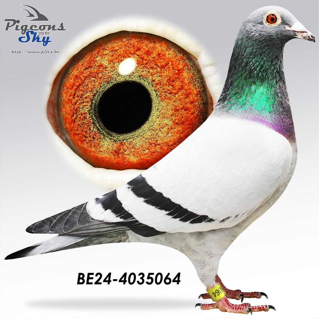 Leeuw 720 x Gr Child Blauw Adje