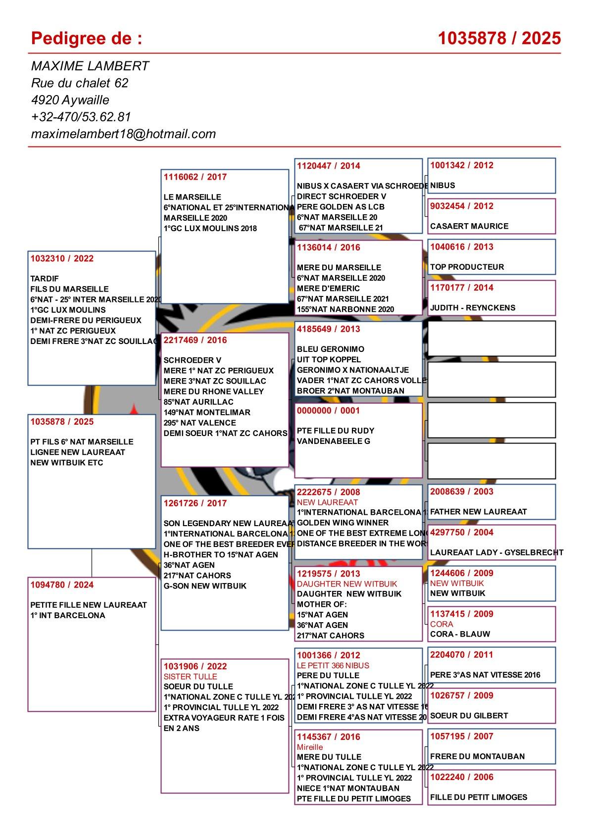 pedigree Kleinkind "Marseille Evan" : 6e Nat. Marseille