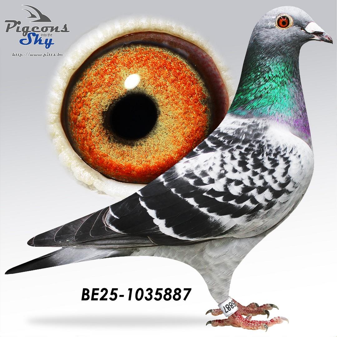 Kleinkind "Jan" : 1° Nat & 4° Internationaal Agen