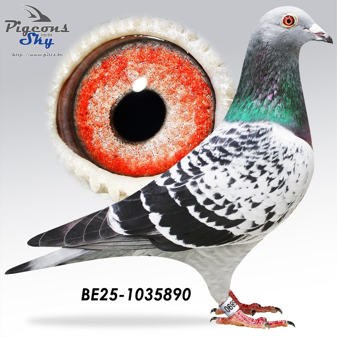 Kleinkind gouden paar "Big Mac" x "Jackpot"