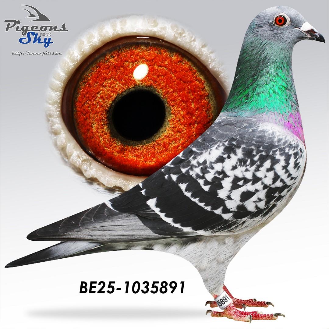 Kleinkind gouden paar "Big Mac" x "Jackpot"