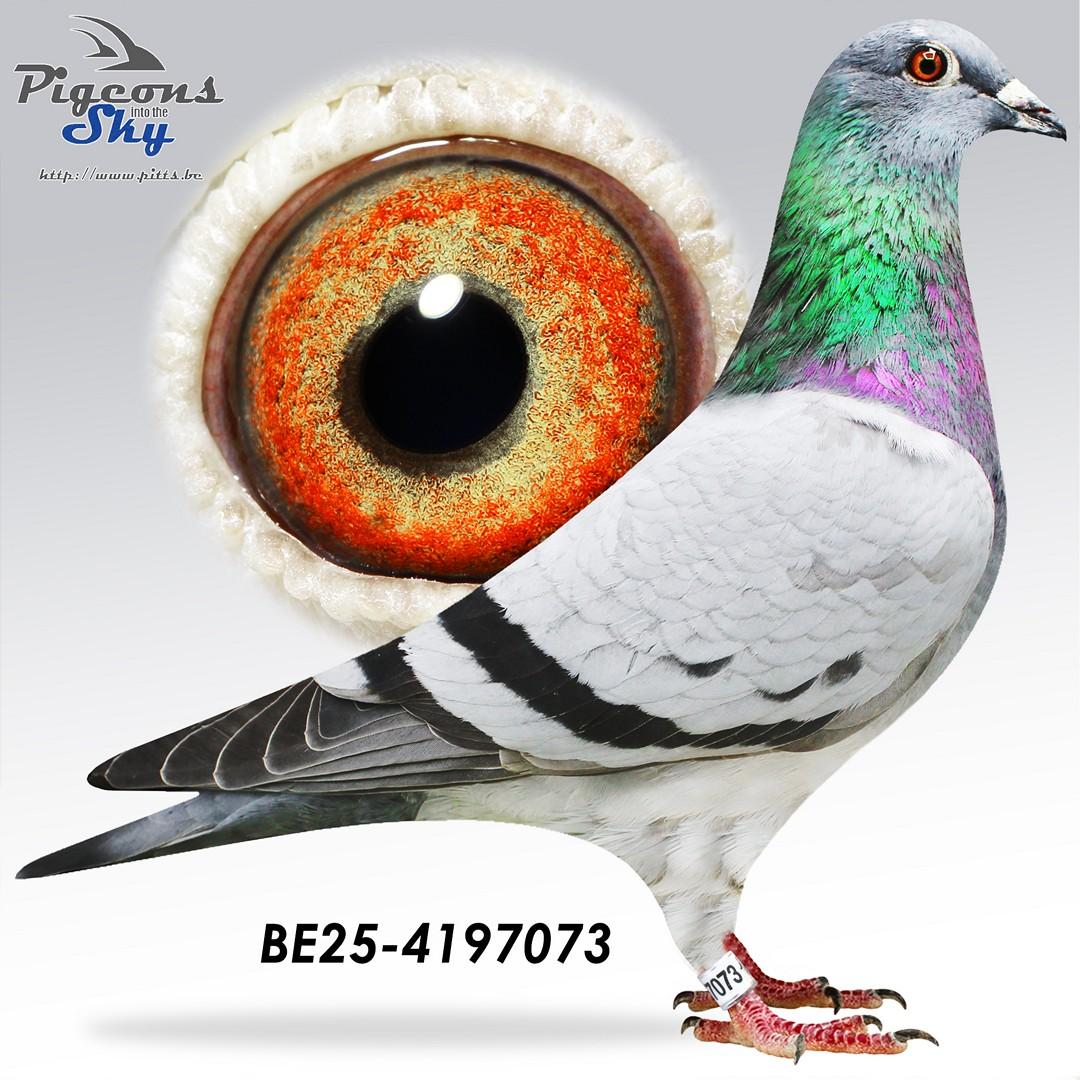 Kleindochter “Nico” : 1° Nat As Barcelona ’21-‘22