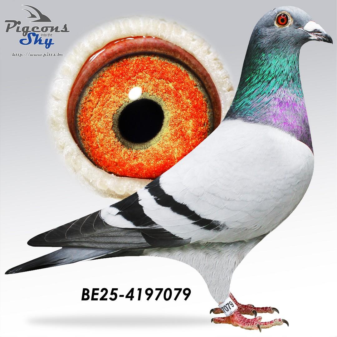 Kleindochter "Nico" : 1° Nat As Barcelona ’21-‘22