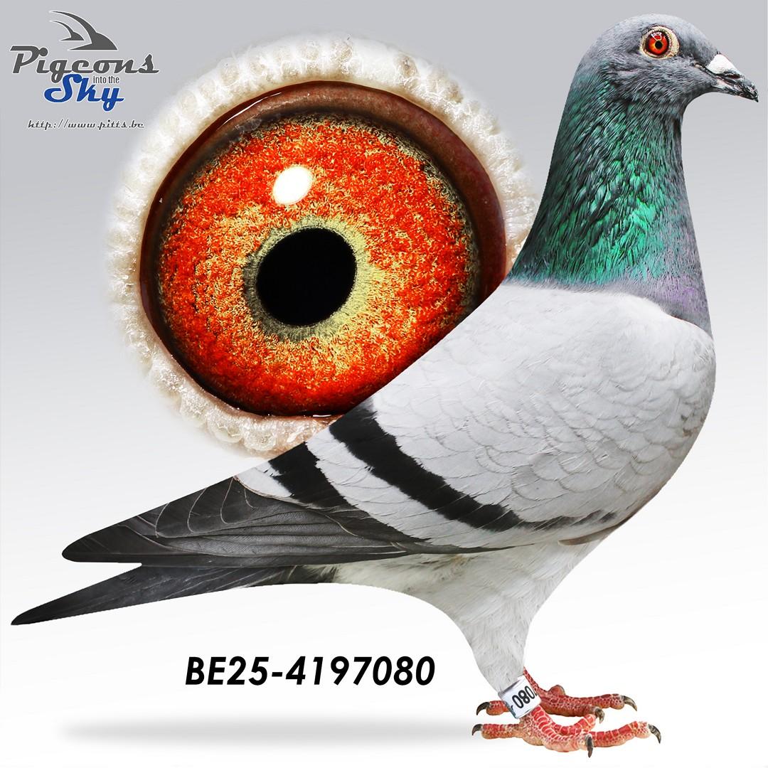 Kleinkind "Nico" : 1° Nat As Barcelona ’21-‘22