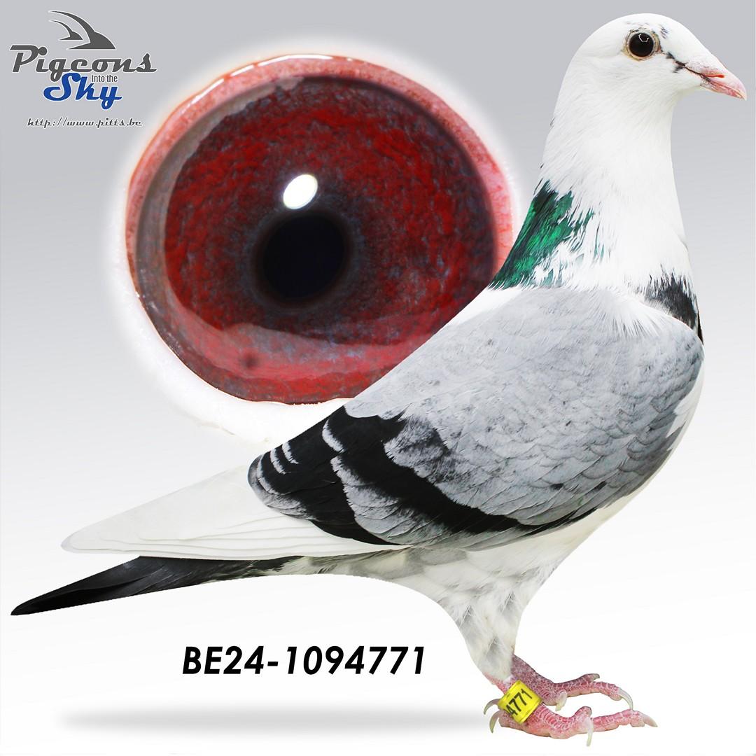 Kleindochter "Marina" : 26e Final Derby Costa Del Sol