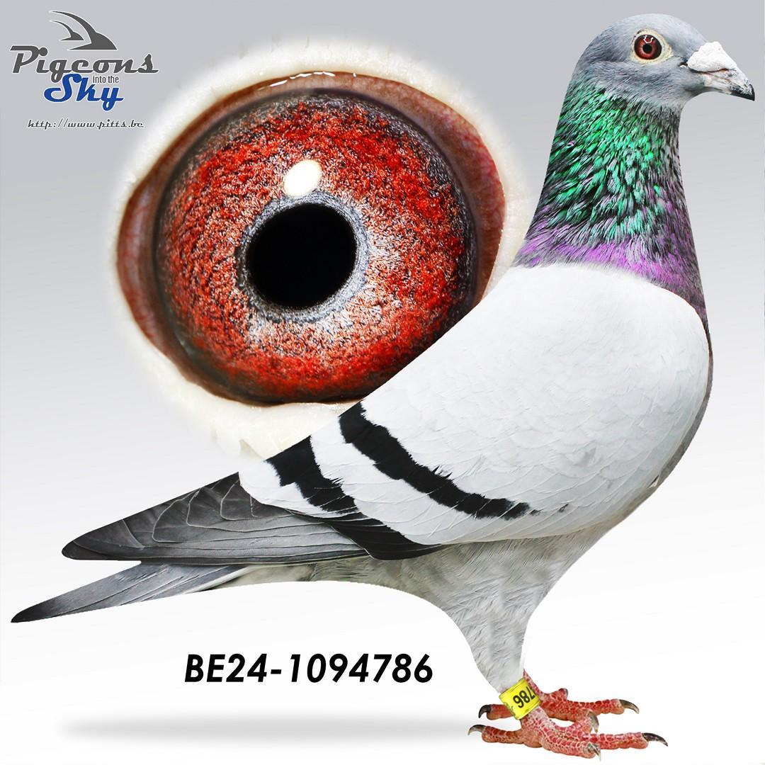 Kleinkind "Le Tulle" : 1e Nat.Z.C Tulle & 1e Prov. Tulle