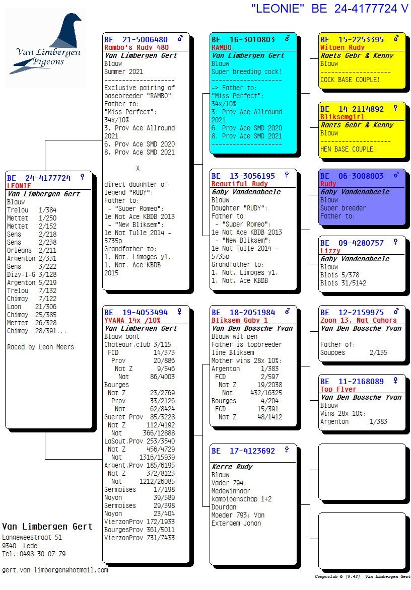 pedigree *TOPAANBIEDING* "LEONIE": 2x 1° - 5x 2° - 2x 3°