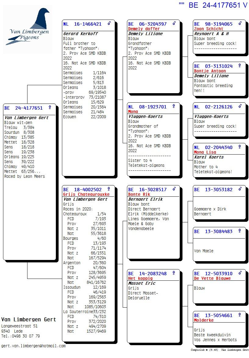 pedigree "De 651"- 7x /10 - Nicht "Typhoon" 2° Prov & 16° Nat Asduif