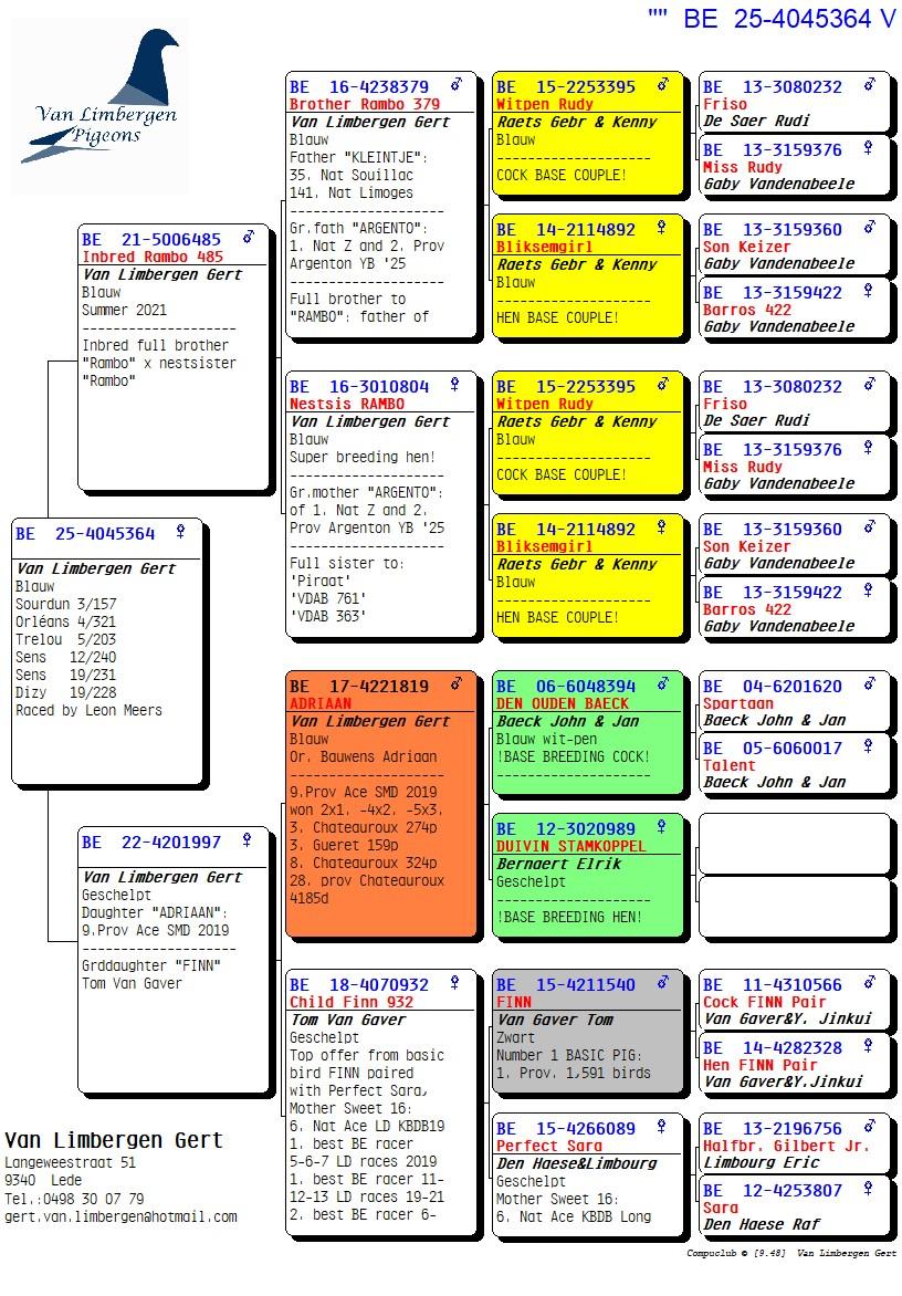 pedigree "De 364"- 6x /10 - Uit inteelt "Rambo"