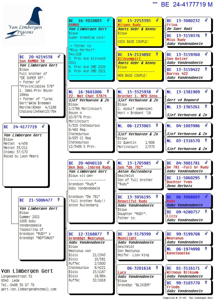 pedigree "De 719" Kleinzoon topkweker "Rambo"