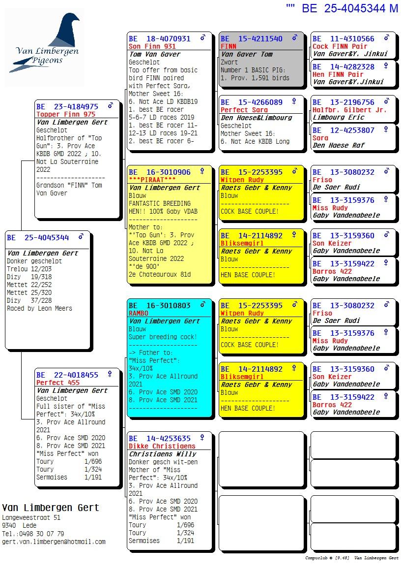 pedigree "De 344" 4x /10 - Kleinzoon basiskwekers "Rambo" & "Piraat"