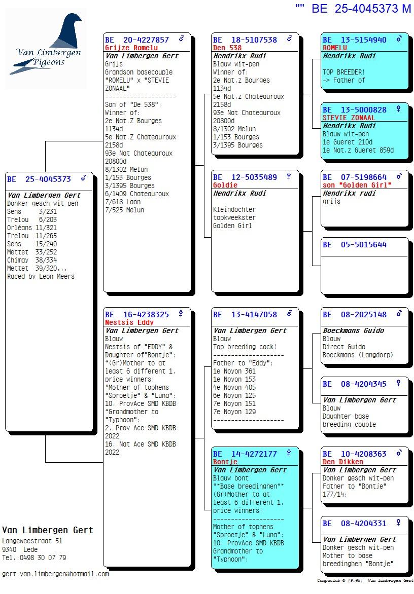 pedigree "De 373" - 5x /10 - Uit kleinzoon topkweker "Romelu" Hendrikx