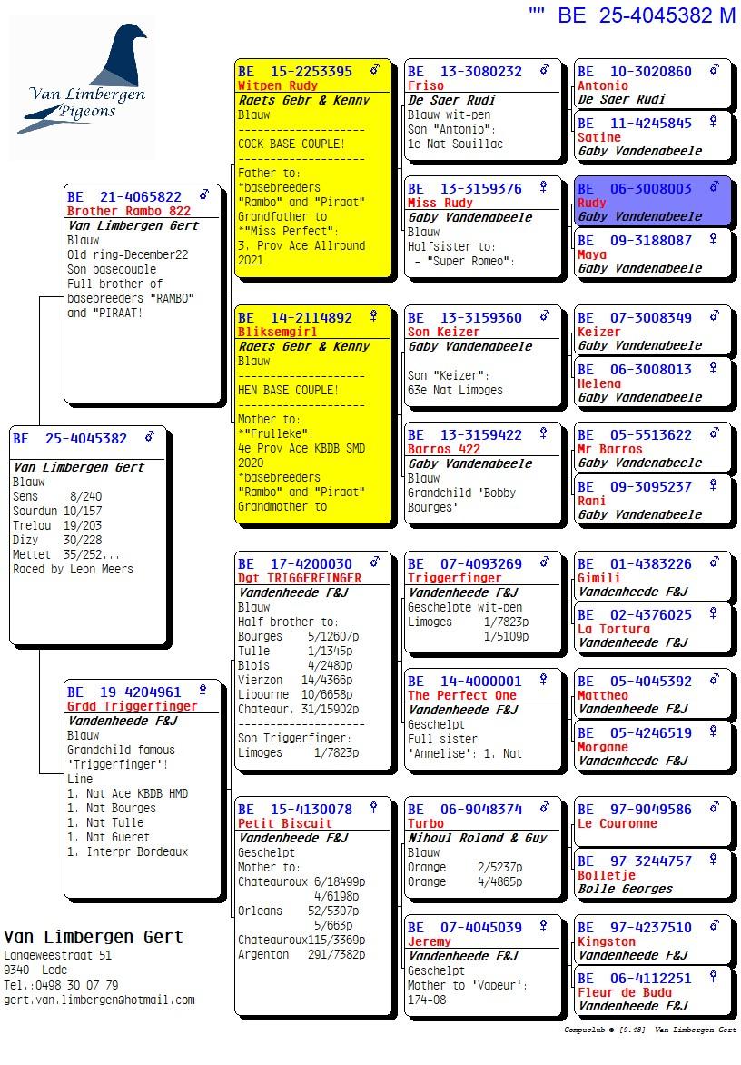 pedigree "De 382"- 3x /10 - Broer "Rambo" X Kleind. "Triggerfinger" Vandenheede