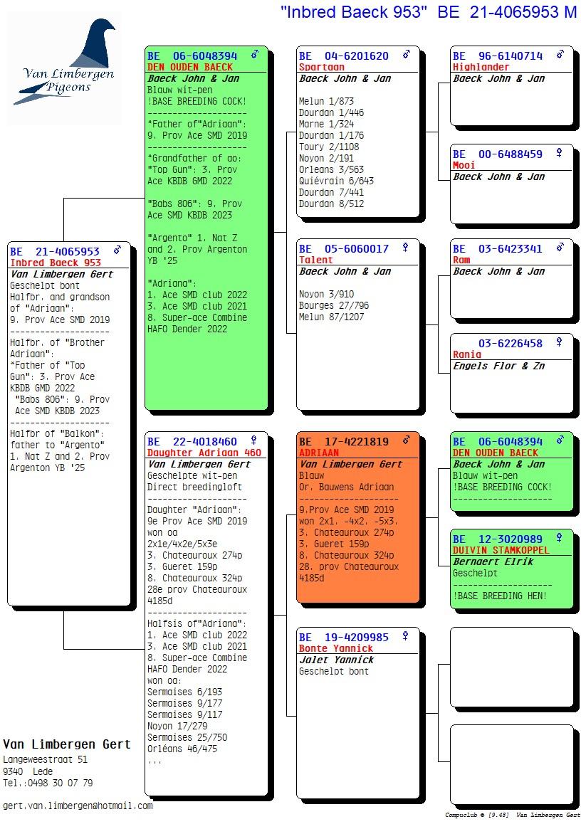 pedigree "Inbred Baeck 953" Inteelt naar stamdoffer "Ouden Baeck"