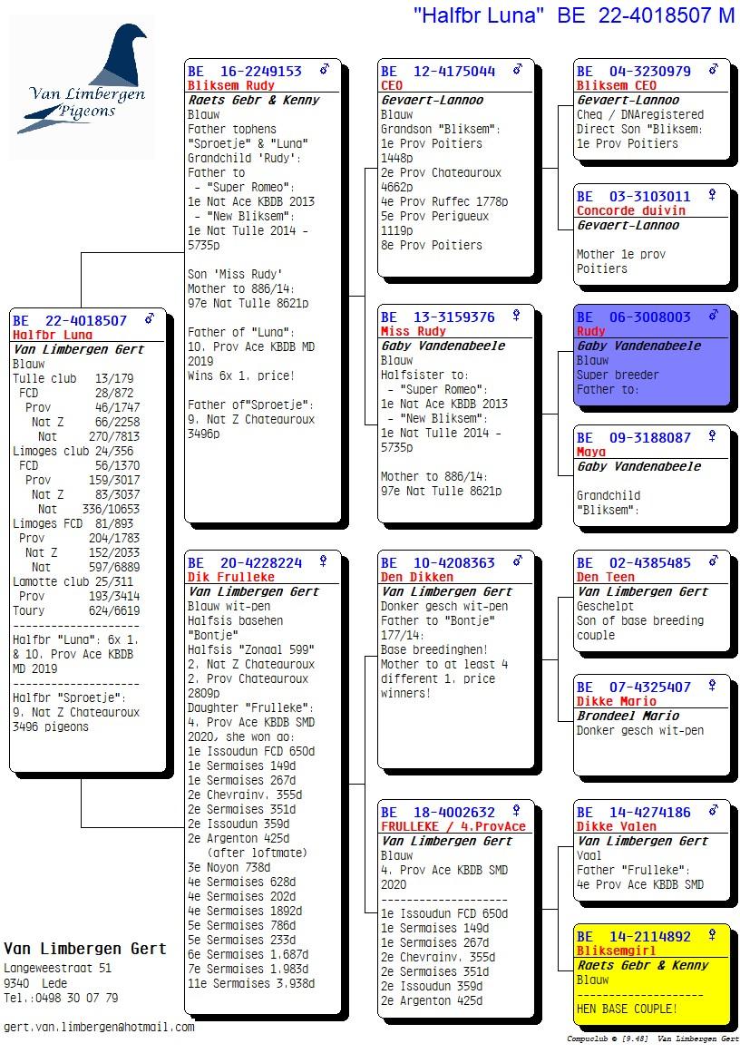 pedigree 3x /10 >600km - Halfbroer "Luna": 6x 1e & 10. Prov Asduif