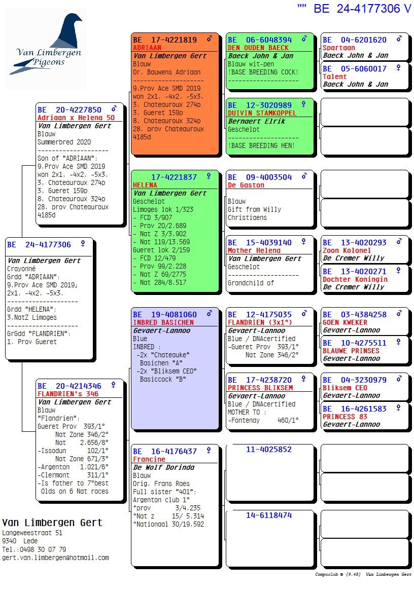 pedigree Kleindochter topvliegers "Adriaan" & "Helena"