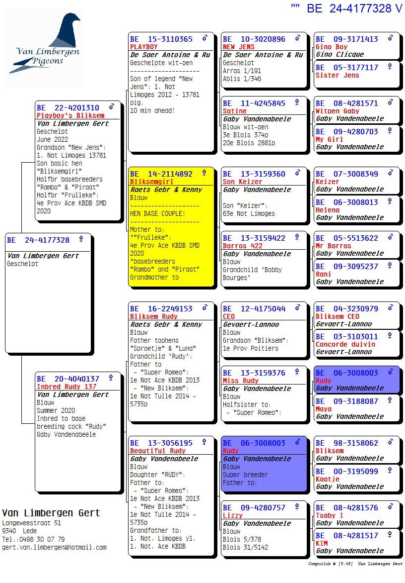 pedigree Kleinzoon "New Jens" De Saer X Kleindochter "Rudy"