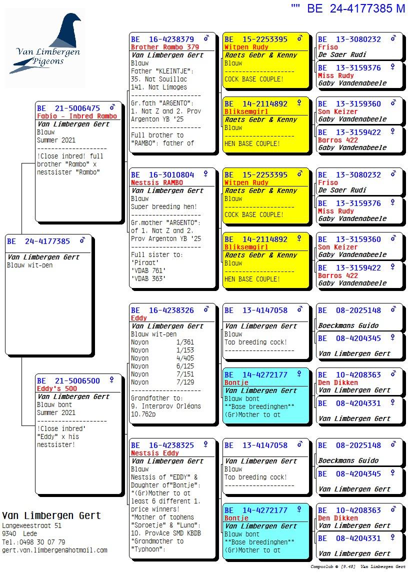 pedigree Inteelt "Rambo" X Inteelt "Eddy"