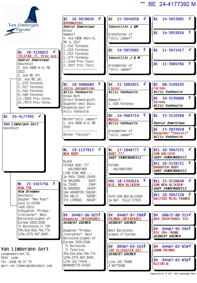 pedigree Zoon "Telstar" 3° Prov Asduif
