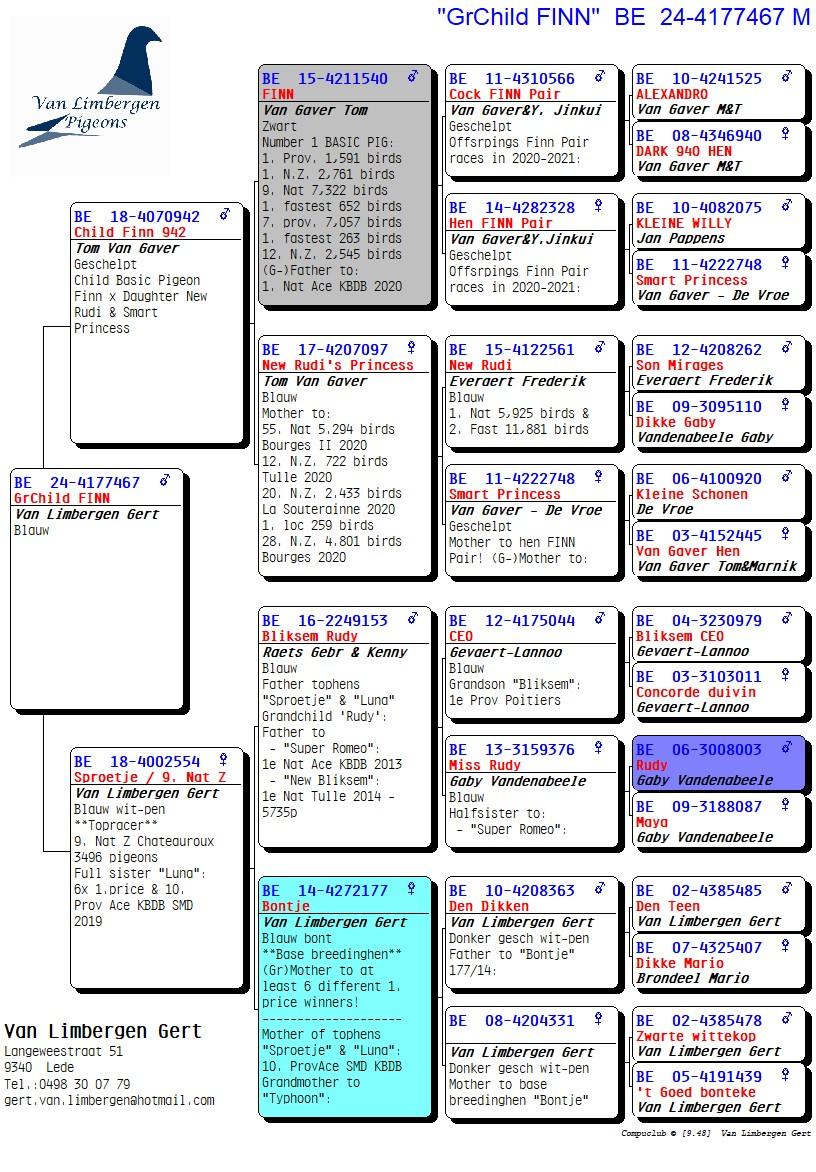 pedigree Zoon topduivin "Sproetje" - Kleinzoon "Finn"
