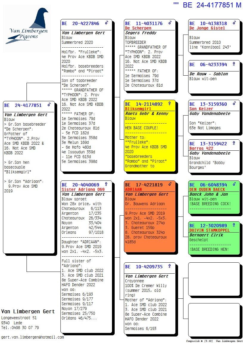 pedigree Kleinzoon "De Scherpen", "Bliksemgirl" & "Adriaan"