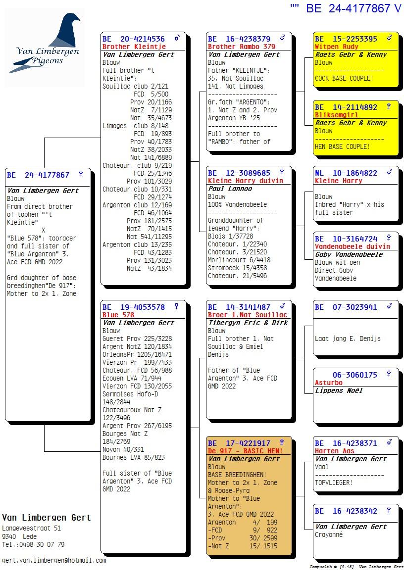 pedigree Broer "'t Kleintje" X "Blue 578"