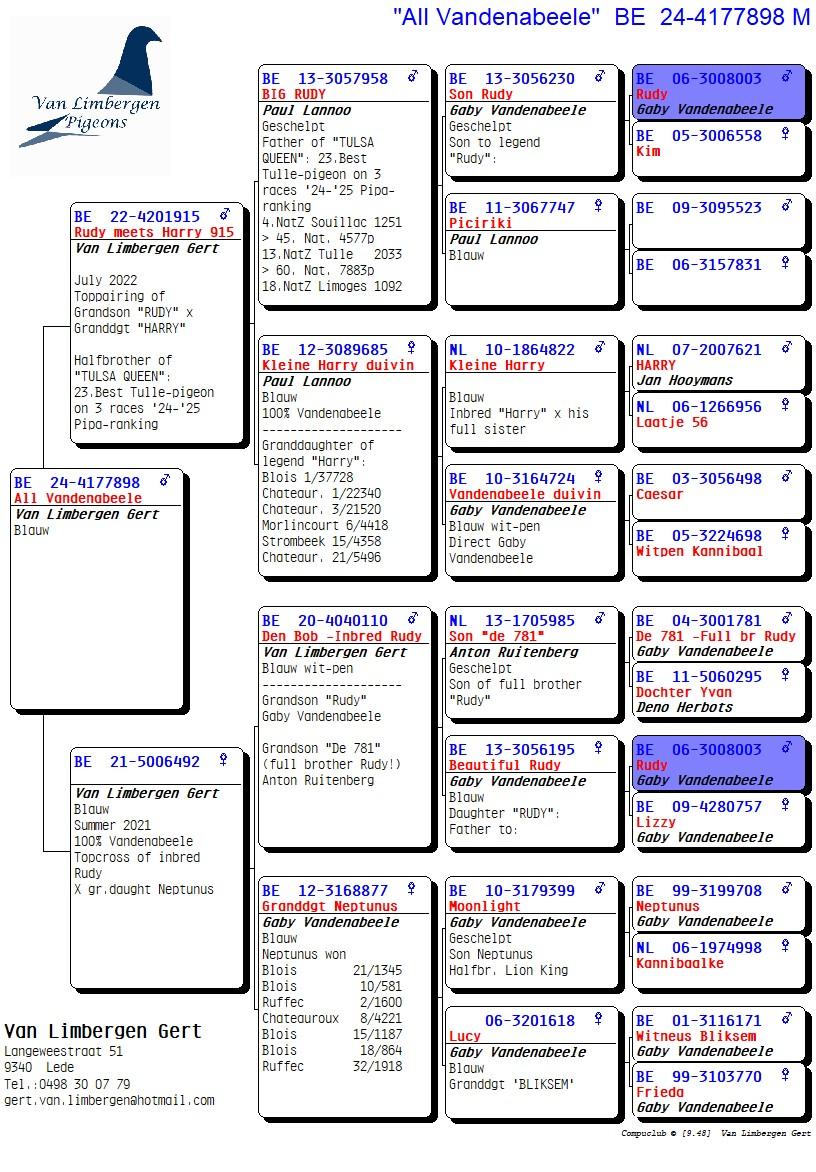pedigree "All Vandenabeele" - "Rudy" x "Harry" x "Neptunus"