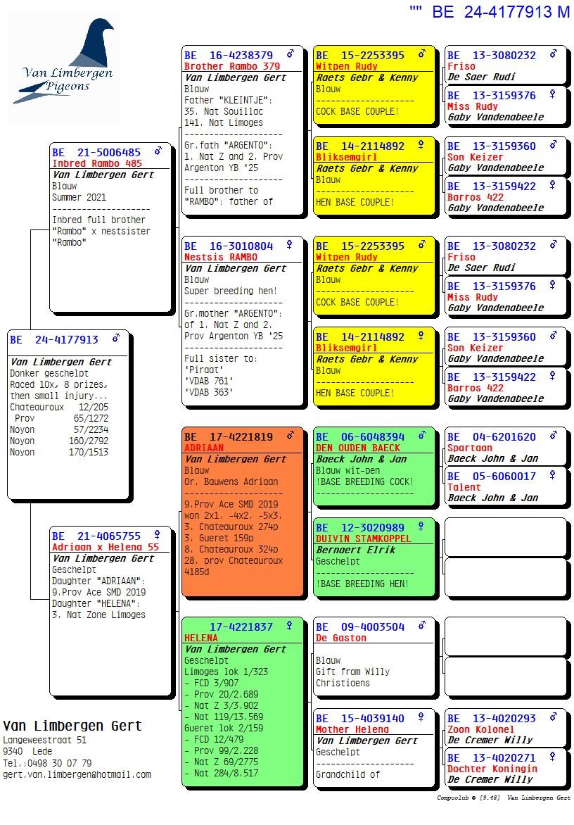 pedigree Inteelt "Rambo" x "Adriaan" x "Helena"