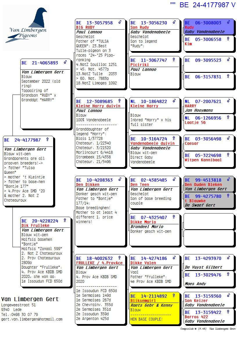 pedigree Zoon "Big Rudy" X dochter "Frulleke"