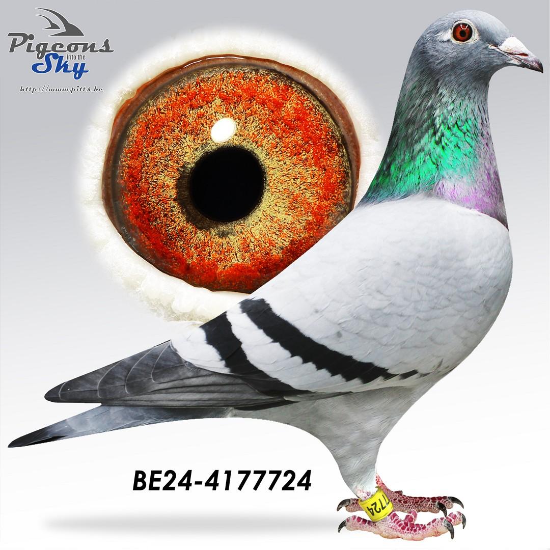 *TOPAANBIEDING* "LEONIE": 2x 1° - 5x 2° - 2x 3°