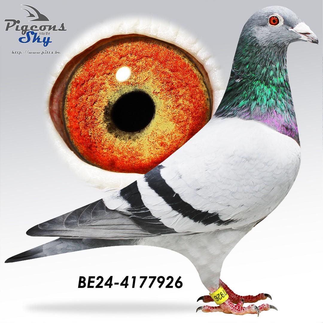 Brother "Leonie": 2x 1° - 5x 2° - 2x 3°