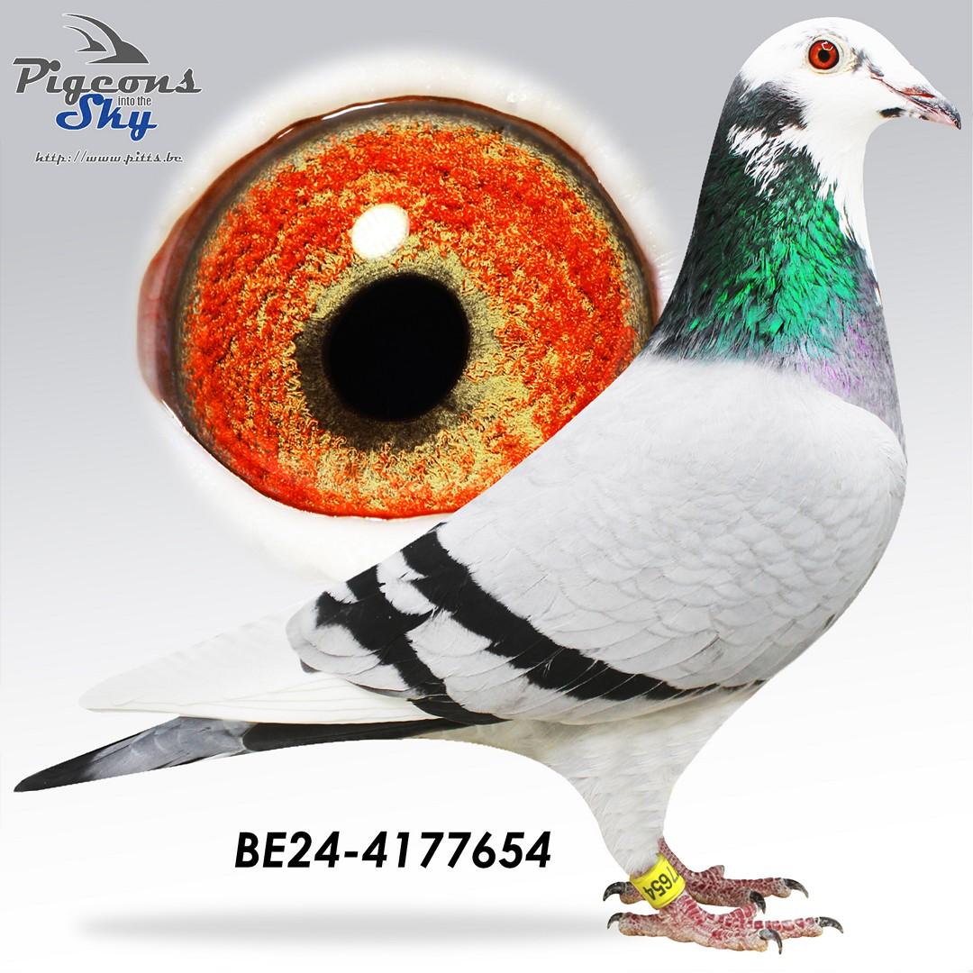 "De 654"- 5x /10 - Nicht "Typhoon" 2° Prov & 16° Nat Asduif 