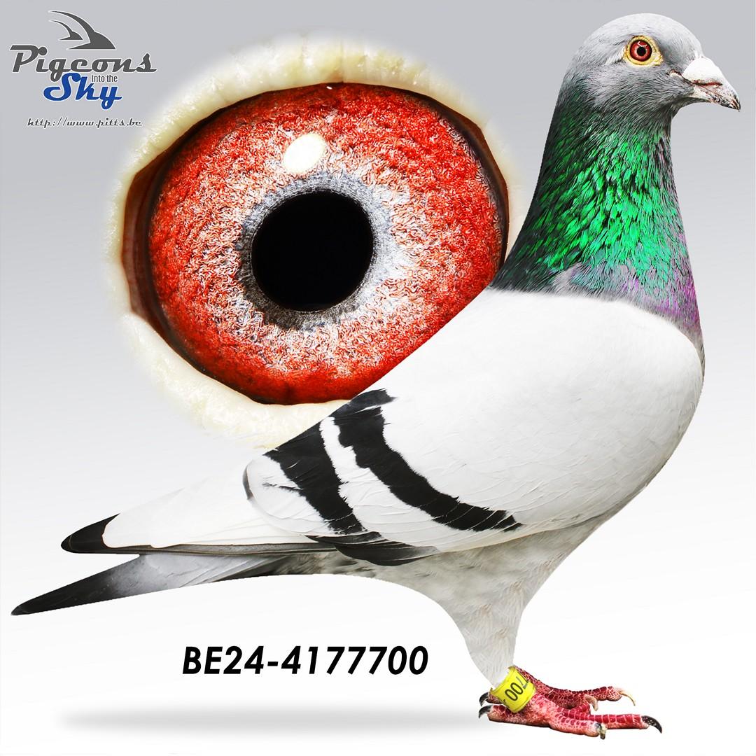 "De 700" 4x /10 - Kleinzoon 1° Prov Chateauroux