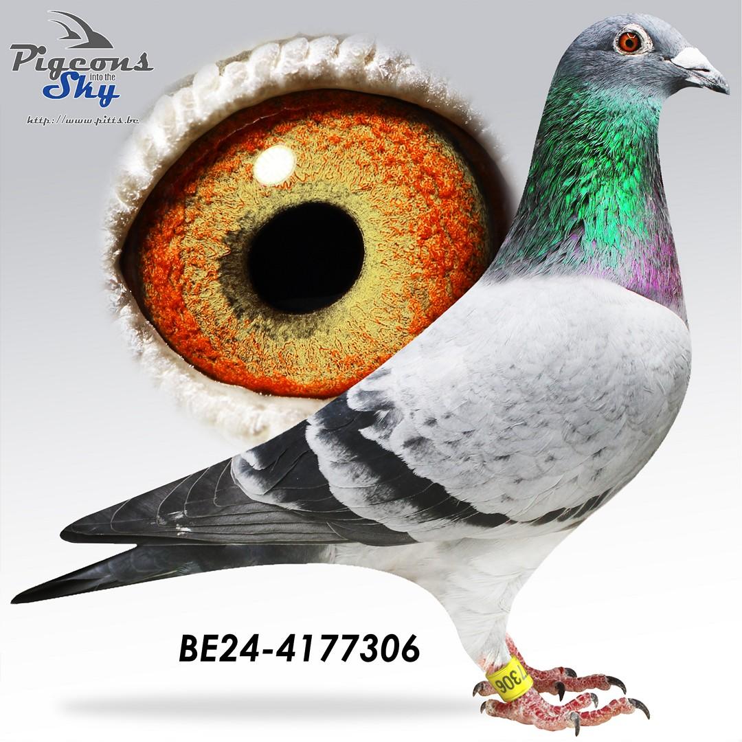 Kleindochter topvliegers "Adriaan" & "Helena"