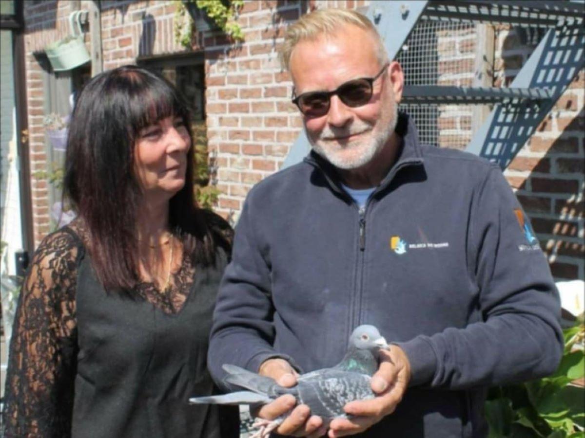 LOGGHE-MAES (Zelzate) Jonge 26