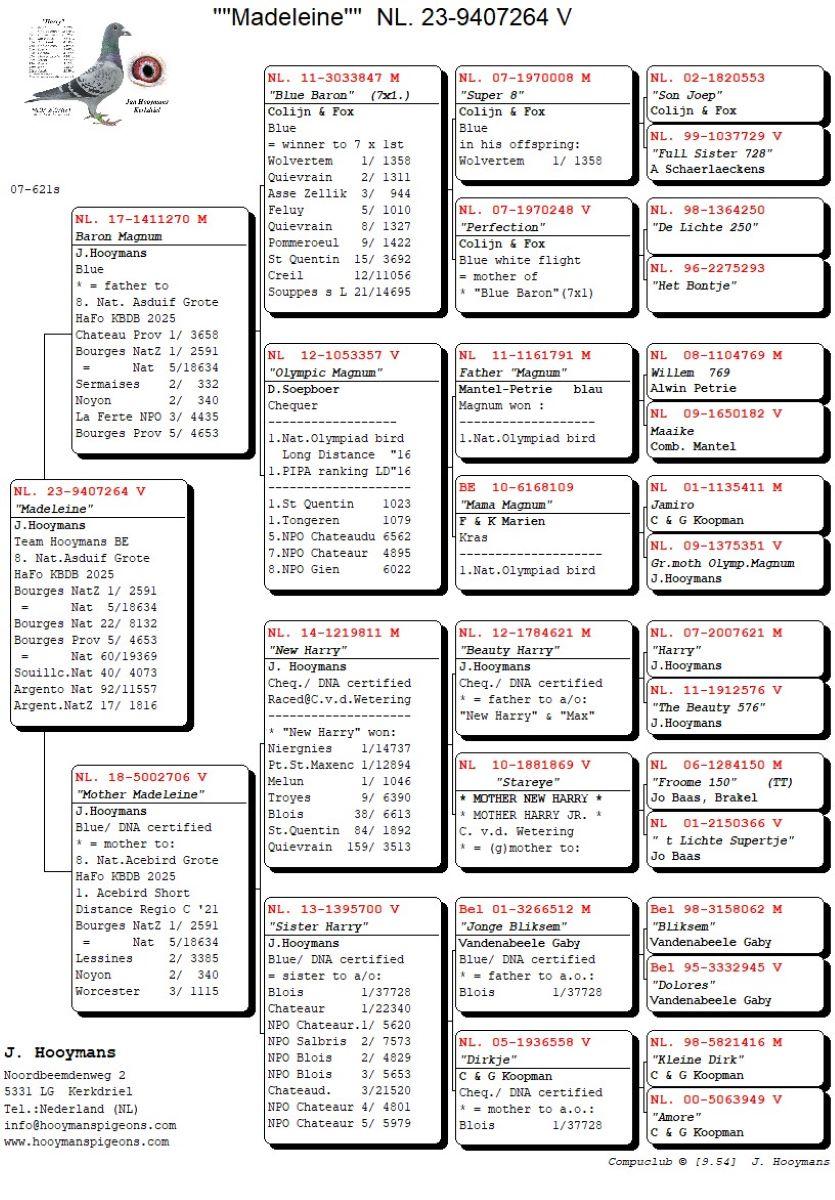 PITTS-Team Hooymans-PITTS-NL23-9407264 'Madeleine' -pedigree_Compustam5gen