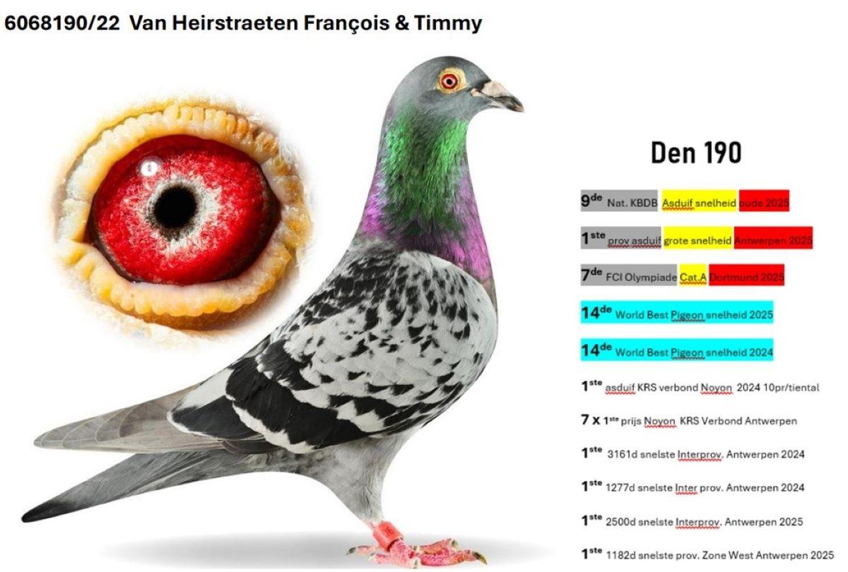 BE22-6068190 'Den 190' -Foto-1