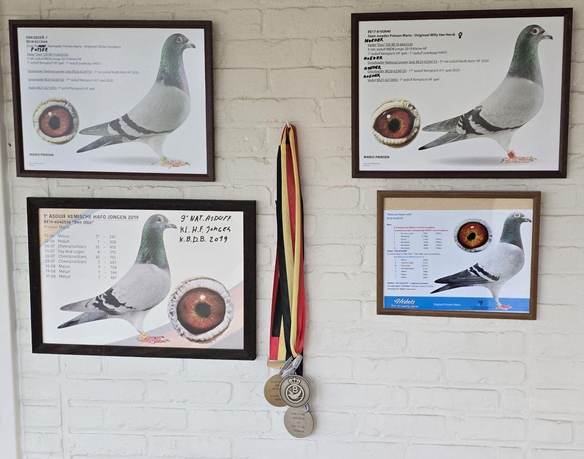 PITTS-Prinsen Mario-PITTS-Fotocollage